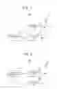 Fig. 08 - Terminal, base station, transmission method, and reception method