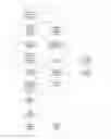 Fig. 01 - Data card connection management method, apparatus and system, and data card