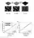 Fig. 02 - Method of making highly flexible and conductive printed graphene-based laminate for wireless wearable communications
