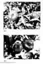Fig. 02 - Peach tree named 'FLATWO'