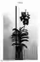 Fig. 02 - Vanda plant named SPCDW1521