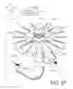 Fig. 47 - Air seeder manifold system