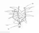 Fig. 01 - Aerial plant planter