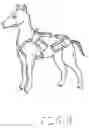 Fig. 09 - WEIGHTED ANIMAL VEST