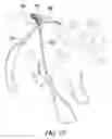 Fig. 12 - Stretchable animal foot covering
