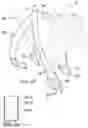 Fig. 15 - Stretchable animal foot covering