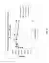 Fig. 18 - Generation of peroxyformic acid through polyhydric alcohol formate
