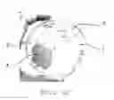 Fig. 04 - Acidic electrolyzed water and production method therefor