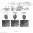 Fig. 08 - Biopolymer-based preservation of perishable products