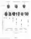 Fig. 09 - Biopolymer-based preservation of perishable products