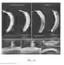 Fig. 11 - Biopolymer-based preservation of perishable products
