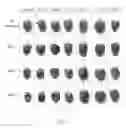 Fig. 12 - Biopolymer-based preservation of perishable products