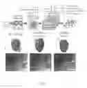 Fig. 18 - Biopolymer-based preservation of perishable products
