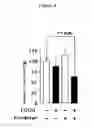 Fig. 05 - Catechin function enhancement method