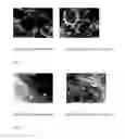 Fig. 05 - Frozen confection and process of making