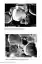 Fig. 13 - Frozen confection and process of making
