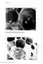 Fig. 14 - Frozen confection and process of making