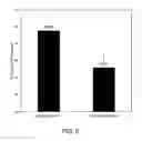 Fig. 05 - Application of beta zeolite as multi-toxin binder in animal feed and related methods