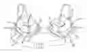 Fig. 01 - Bra engineering