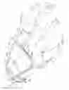 Fig. 13 - Illuminated glove assembly