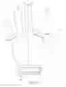 Fig. 15 - Illuminated glove assembly