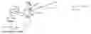 Fig. 01 - Elbow leaves