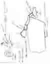 Fig. 02 - Elbow leaves