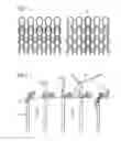 Fig. 04 - Shoe