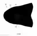 Fig. 13 - Footwear upper with dynamic and lock-out regions