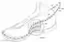 Fig. 01 - Article of footwear with tubular structures