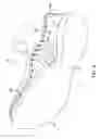 Fig. 05 - Article of footwear with tubular structures
