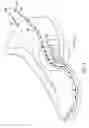 Fig. 06 - Article of footwear with tubular structures