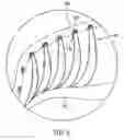 Fig. 07 - Article of footwear with tubular structures