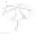 Fig. 01 - WIND-RESISTANT INVERSELY FOLDABLE UMBRELLA