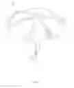 Fig. 02 - WIND-RESISTANT INVERSELY FOLDABLE UMBRELLA