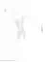 Fig. 06 - Covering, Protecting, and Positioning a Portable Electronic Device