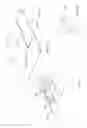 Fig. 41 - SECURE DETACHABLE STYLUS LATCHING MECHANISM FOR ELECTRONIC DISPLAY AND INPUT DEVICES