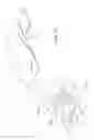 Fig. 47 - SECURE DETACHABLE STYLUS LATCHING MECHANISM FOR ELECTRONIC DISPLAY AND INPUT DEVICES
