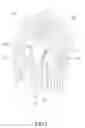 Fig. 04 - HAIR BRAIDER