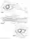 Fig. 04 - MAKEUP APPLICATOR