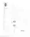 Fig. 04 - Hydro toothbrush