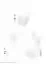 Fig. 10 - SIMULATED ZERO 