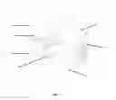 Fig. 03 - Baby Rocker Glider