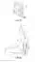 Fig. 13 - HEIGHT ADJUSTING STRUCTURE WITH DIRECTLY COMMUNICATING AIRBAGS