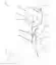 Fig. 01 - Adjustable Food Presentation Apparatus