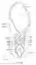 Fig. 04 - Holding mechanism and insertion device