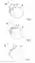 Fig. 03 - System and method for the training of head movements
