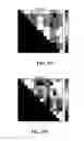 Fig. 19 - System and Method For Determining Modified States of Health of Living Tissue