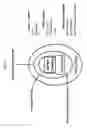 Fig. 23 - System and method for measuring biological fluid biomarkers