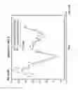 Fig. 191 - SYSTEMS AND METHODS FOR NONINVASIVE BLOOD GLUCOSE AND OTHER ANALYTE DETECTION AND MEASUREMENT USING COLLISION COMPUTING